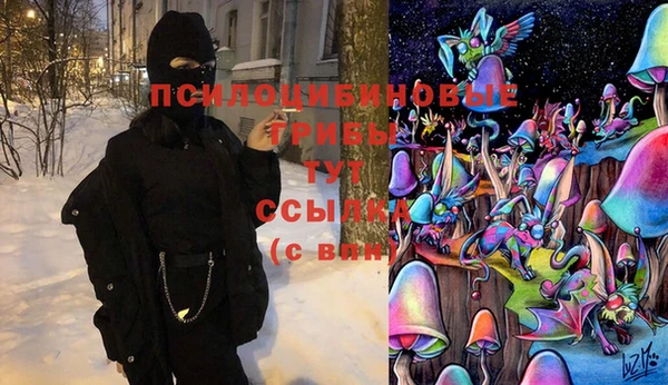 Альфа ПВП Кулебаки