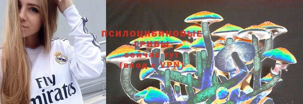 Альфа ПВП Кулебаки
